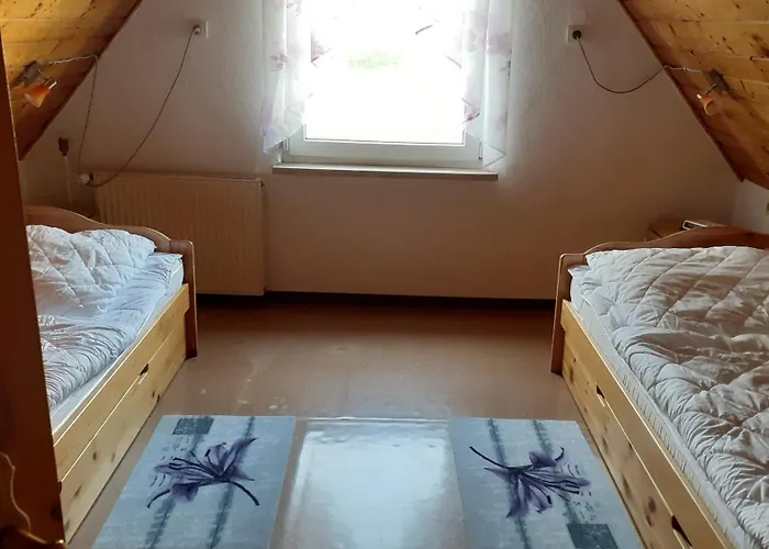 Appartement Haehnlein Steinach (Thuringia)