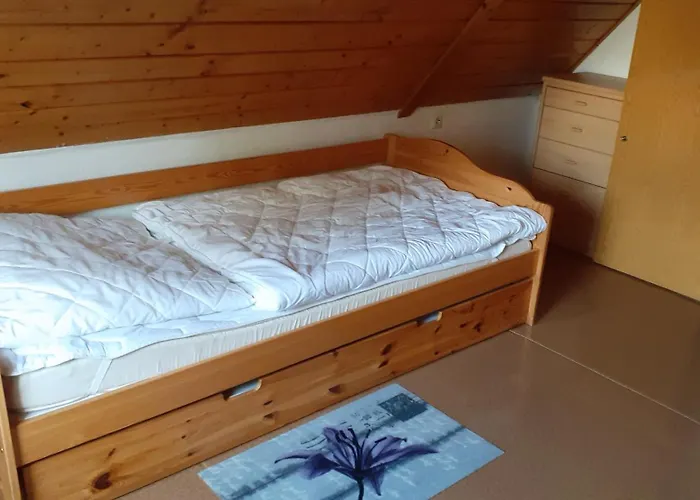 Haehnlein 施泰纳赫